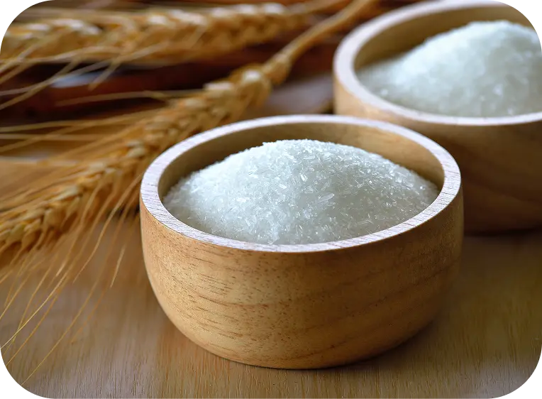 Tijelas de madeira com cristais de glutamato monossódico