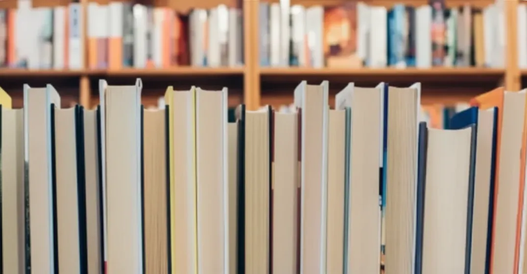 Prateleiras com diversos livros