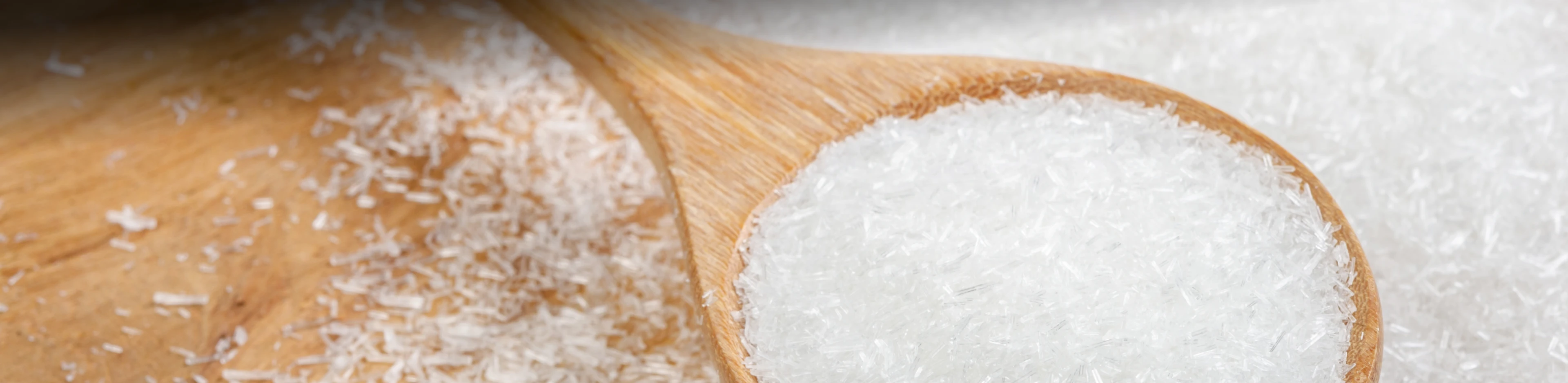 Uma colher com sal sódico do glutamato